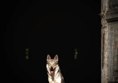 Photo 1666555089707
